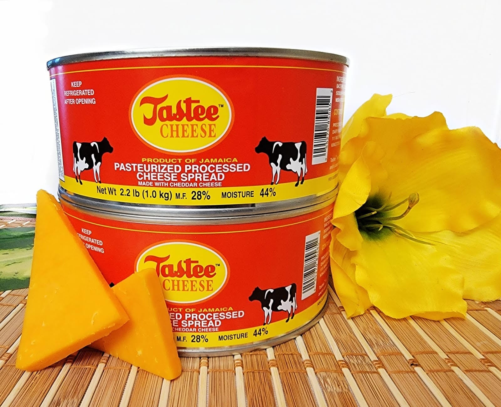 Tastee Cheese - IN STOCK!